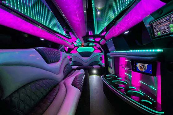 limo neon lights